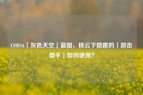 COD16「灰色天空」蓝图,核云下隐匿的「游击猎手」如何使用?