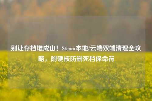 别让存档堆成山!Steam本地/云端双端清理全攻略,附硬核防删死档保命符