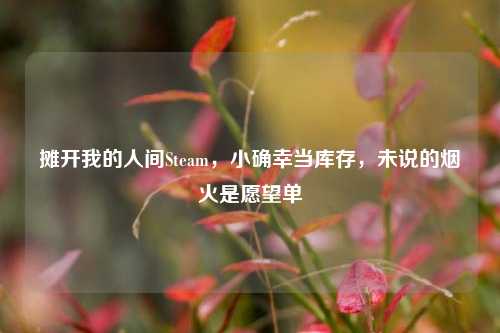 摊开我的人间Steam,小确幸当库存,未说的烟火是愿望单