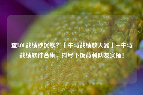 查LOL战绩秒沉默？「牛马战绩放大器」+牛马战绩软件合集，抖尽下饭背刺队友实锤！