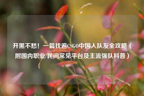 开黑不愁!一篇找遍CSGO中国人队友全攻略(附国内职业/民间常见平台及主流强队科普)