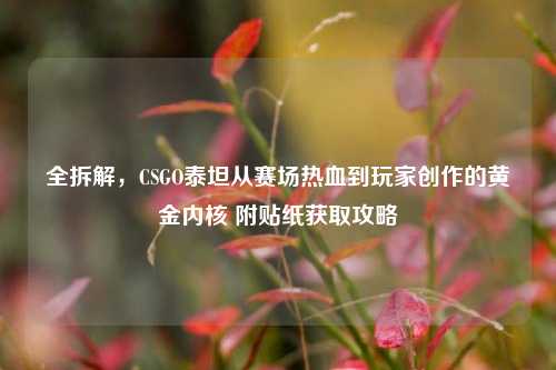 全拆解,CSGO泰坦从赛场热血到玩家创作的黄金内核 附贴纸获取攻略