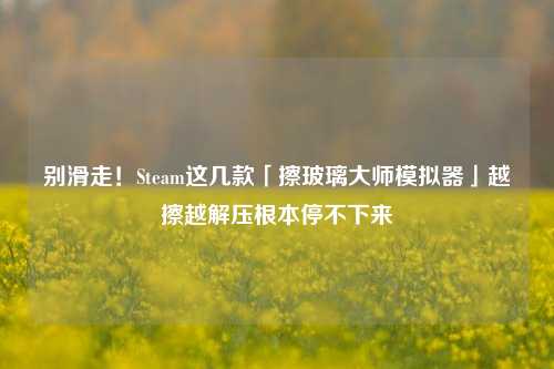 别滑走!Steam这几款「擦玻璃大师模拟器」越擦越解压根本停不下来