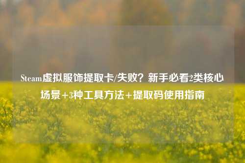 Steam虚拟服饰提取卡/失败?新手必看2类核心场景+3种工具方法+提取码使用指南
