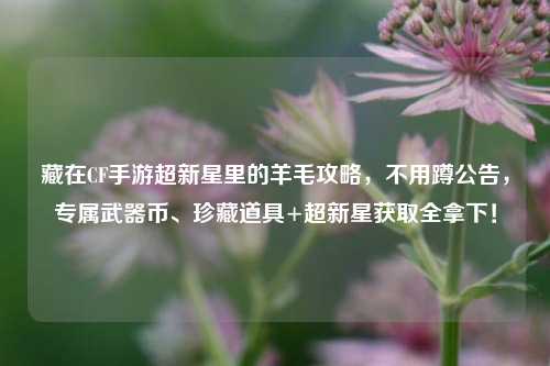 藏在CF手游超新星里的羊毛攻略,不用蹲公告,专属武器币、珍藏道具+超新星获取全拿下!