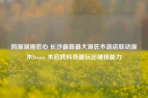 同源湖湘匠心 长沙最新最大源氏木语店联动源木Steam 木启跨科奇趣玩出硬核能力
