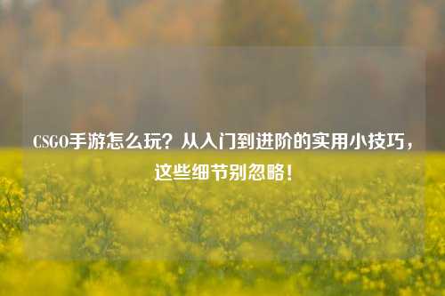 CSGO手游怎么玩?从入门到进阶的实用小技巧,这些细节别忽略!