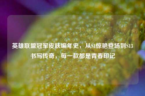英雄联盟冠军皮肤编年史,从S1惊艳登场到S13书写传奇,每一款都是青春印记