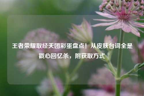 王者荣耀取经天团彩蛋盘点!从皮肤台词全是戳心回忆杀,附获取方式