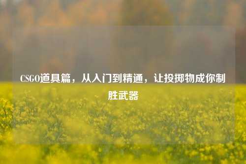 CSGO道具篇,从入门到精通,让投掷物成你制胜武器