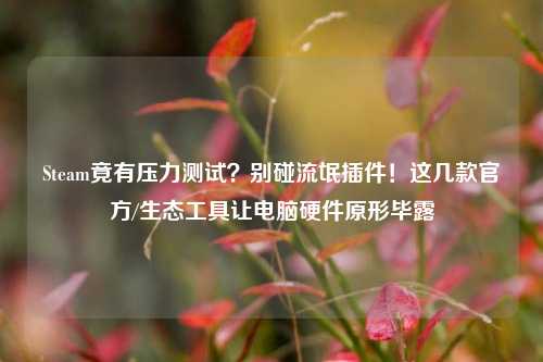Steam竟有压力测试？别碰流氓插件！这几款官方/生态工具让电脑硬件原形毕露