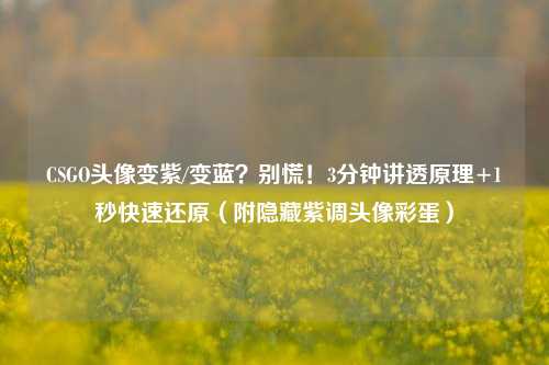 CSGO头像变紫/变蓝?别慌!3分钟讲透原理+1秒快速还原(附隐藏紫调头像彩蛋)