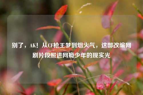 别了,AK!从CF枪王梦到烟火气,这部改编网剧片段照进网瘾少年的现实光
