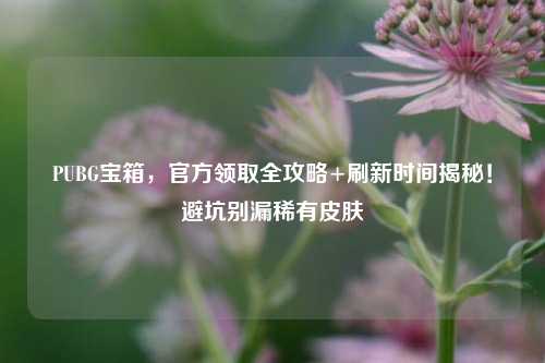 PUBG宝箱,官方领取全攻略+刷新时间揭秘!避坑别漏稀有皮肤