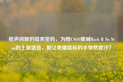 枪声间隙的暗爽密码,为啥CSGO里喊Rush B No Stop的土匪语音,能让我攥鼠标的手突然冒汗?