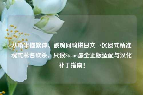 从啃半懂繁体、戳鸡同鸭讲日文→沉浸式精准魂式苇名砍杀,只狼Steam最全正版适配与汉化补丁指南!