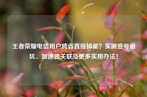 王者荣耀电信用户跨省直接掉星?实测登号避坑、加速器关联及更多实用办法!
