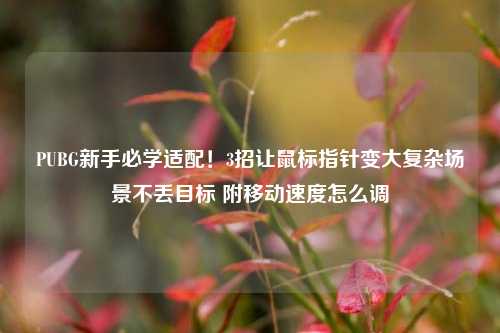 PUBG新手必学适配!3招让鼠标指针变大复杂场景不丢目标 附移动速度怎么调