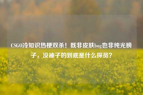 CSGO冷知识热梗双杀!既非皮肤bug也非纯光膀子,没袖子的到底是什么探员?