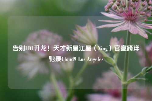 告别LDL升龙!天才新星江星(Xing)官宣跨洋驰援Cloud9 Los Angeles