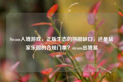 Steam入境游戏,正版生态的拼图缺口,还是玩家乐园的合规门票?steam出境易