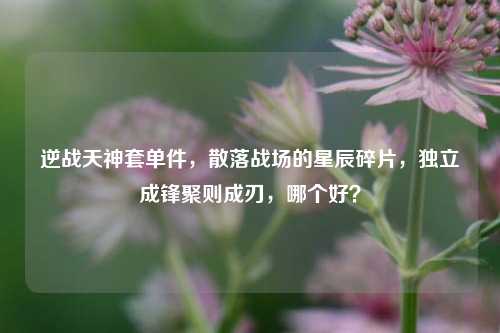 逆战天神套单件,散落战场的星辰碎片,独立成锋聚则成刃,哪个好?