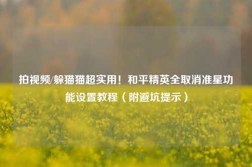 拍视频/躲猫猫超实用!和平精英全取消准星功能设置教程(附避坑提示)