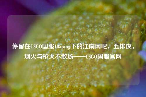 停留在CSGO国服105ping下的江南网吧,五排夜,烟火与枪火不散场——CSGO国服官网