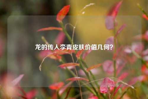 龙的传人李青皮肤价值几何?