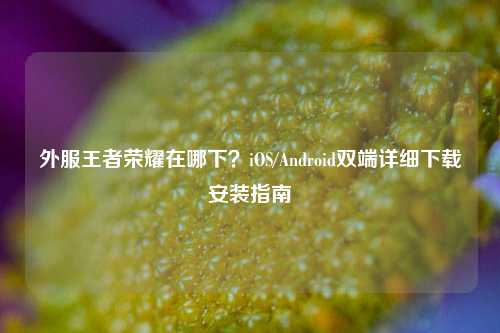 外服王者荣耀在哪下?iOS/Android双端详细下载安装指南