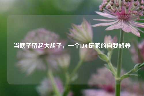 当瞎子留起大胡子,一个LOL玩家的自我修养