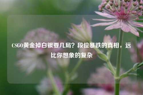 CSGO黄金掉白银要几局?段位暴跌的真相,远比你想象的复杂
