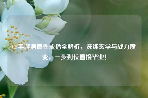 CF手游满属性戒指全解析,洗练玄学与战力质变,一步到位直接毕业!