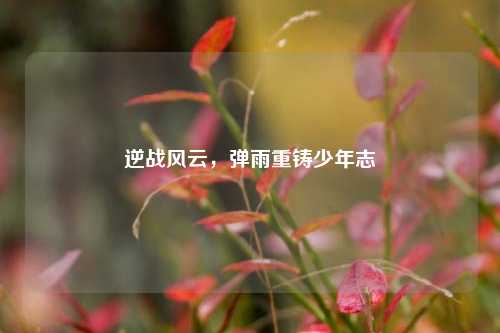 逆战风云,弹雨重铸少年志