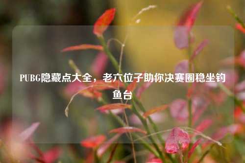 PUBG隐藏点大全,老六位子助你决赛圈稳坐钓鱼台