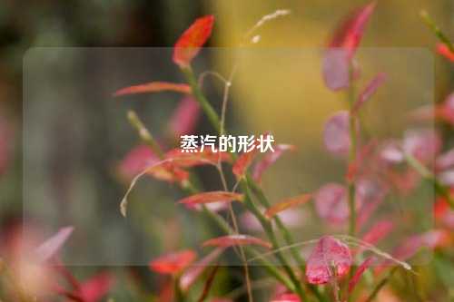 蒸汽的形状