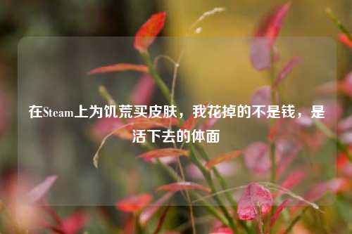 在Steam上为饥荒买皮肤,我花掉的不是钱,是活下去的体面