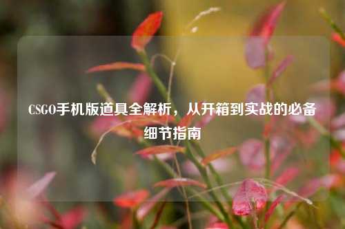 CSGO手机版道具全解析,从开箱到实战的必备细节指南