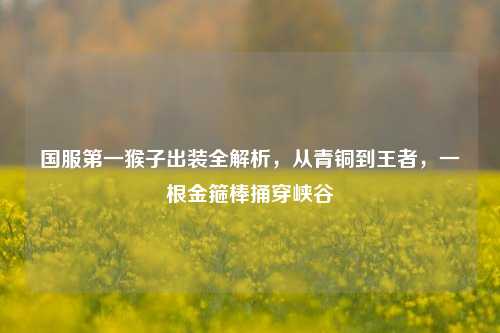 国服第一猴子出装全解析,从青铜到王者,一根金箍棒捅穿峡谷