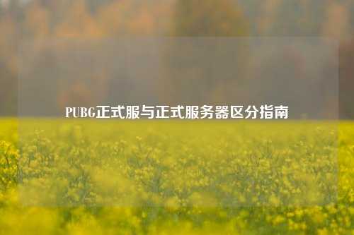 PUBG正式服与正式服务器区分指南