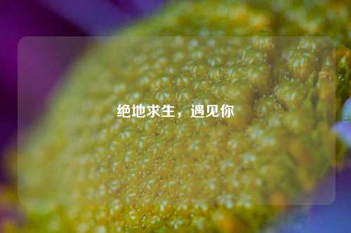 绝地求生,遇见你