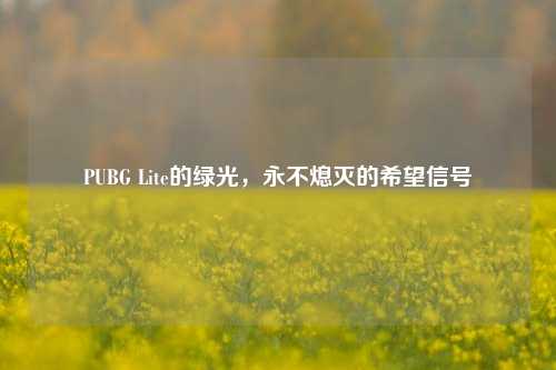 PUBG Lite的绿光，永不熄灭的希望信号