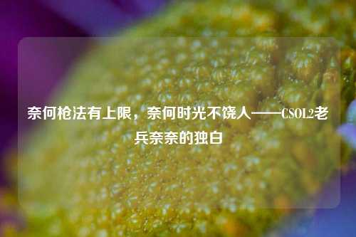奈何枪法有上限,奈何时光不饶人——CSOL2老兵奈奈的独白