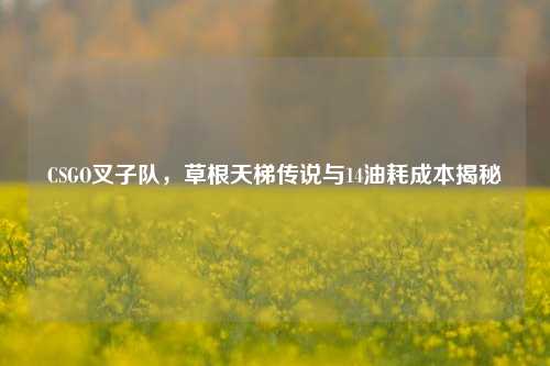 CSGO叉子队,草根天梯传说与14油耗成本揭秘