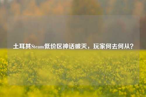土耳其Steam低价区神话破灭,玩家何去何从?