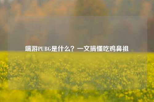 端游PUBG是什么?一文搞懂吃鸡鼻祖