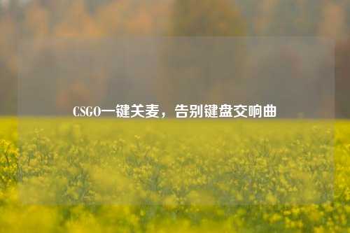 CSGO一键关麦,告别键盘交响曲
