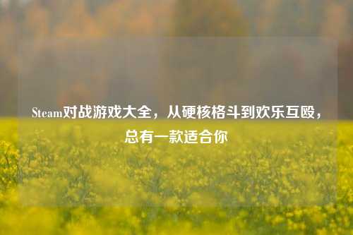 Steam对战游戏大全,从硬核格斗到欢乐互殴,总有一款适合你