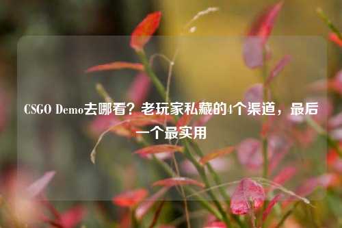 CSGO Demo去哪看?老玩家私藏的4个渠道,最后一个最实用