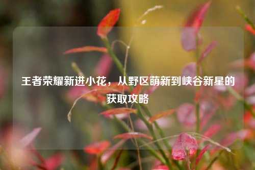 王者荣耀新进小花,从野区萌新到峡谷新星的获取攻略